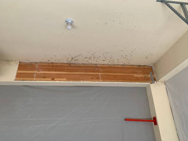 Best Mold Remediation for Healthcare Facilities  in Bartow, FL