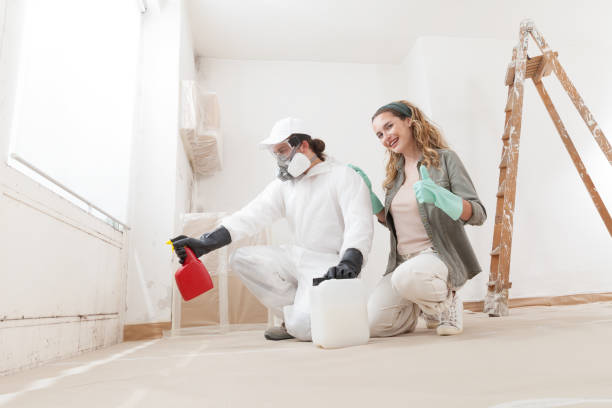 Mold Odor Removal Services in Bartow, FL